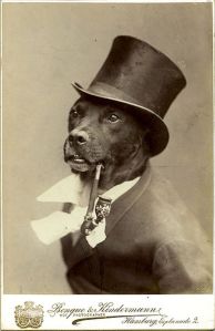 victorian dog